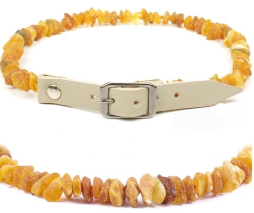 Echte Bernsteinkette für Hund & Katze – Bernstein Halsband mit Verstellbarem Lederband, das deinem Liebling einen einzigartigen Look verleiht. Funkelnd und Trendy! (GRAU, 20-22 cm)