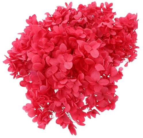 jojofuny Boîte de Fleurs Séchées Naturelles D’Hortensia Immortel Rouge Vif, Matière pour Loisirs Créatifs, Fleurs Soi-même, Décoration Intérieure, Présent DIY, 1 Pièce