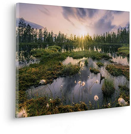 Komar Keilrahmenbild im Echtholzrahmen - Gloomy Swamps - Größe 60 x 40 cm - Bild, Leinwandbild, Landschaftsmotiv, Wohnzimmer, Schlafzimmer