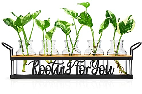 THYGIFTREE Blumenvase Vintage Deko Kleine Vasen Für Tischdeko, Hydrokultur Glas mit Metallständer Für Blumen Mit Ständer, Propagation Station Für Deko Wohnzimmer Outdoor Taufe Schreibtisch deko