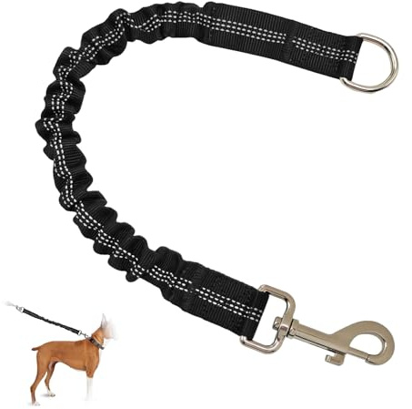 Ruckdämpfer für Hunde Leine, Hundetrainingsleine Leines Hundeleine Ruckdämpfer Bungee Leine Hund Hunde Fahrradleine Leinenverlängerung Reflektierend für Spaziergänge Hundetraining Joggen Radfahren