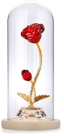 SUMTree Cloche en Verre avec Socle en Bois, Cloche de présentation, 10x25cm | Transparent, Base en Bois Naturel, Décoration pour Fleurs, Cristal, Collection