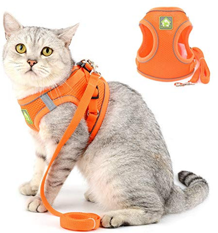SELMAI Katzengeschirr mit Leine Ausbruchsicher Kitten Reflektierend Hundegeschirr für Welpen Kleine Hunde Chihuahua Geschirr Weiches Netz Brustgurt für Haustiere Gehen Ausbildung Draussen Orange L