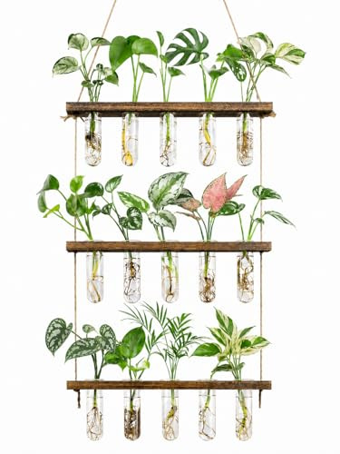 Monsiter QE 3 Tier Wall Hanging Propagation Stations with 15 Glass Test Tubes, Plant Terrarium Propagation Tubes Planter for Hydroponic Cuttings, Window Decor Gift for Plant Lovers