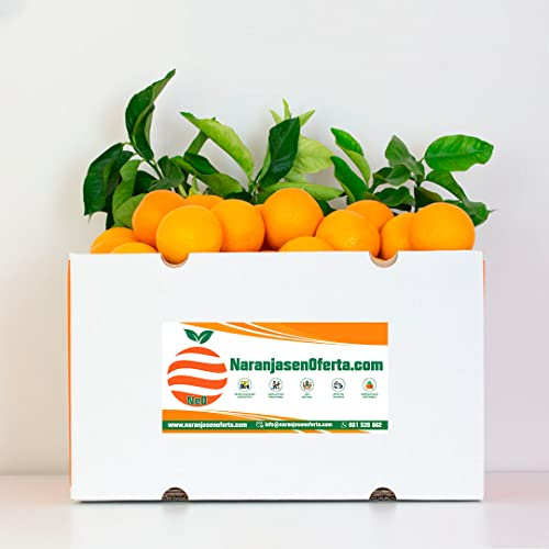 NARANJAS DE ZUMO DE VALENCIA (CAJA 15 KG.)