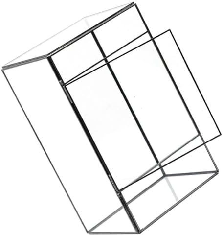 BESPORTBLE Glas Terrarium Pflanzenhalter Mikro Landschaft Behälter für Sukkulenten und Moos Transparentes Pflanzgefäß mit Zinnrahmen für Tisch Büro und Wohnräume