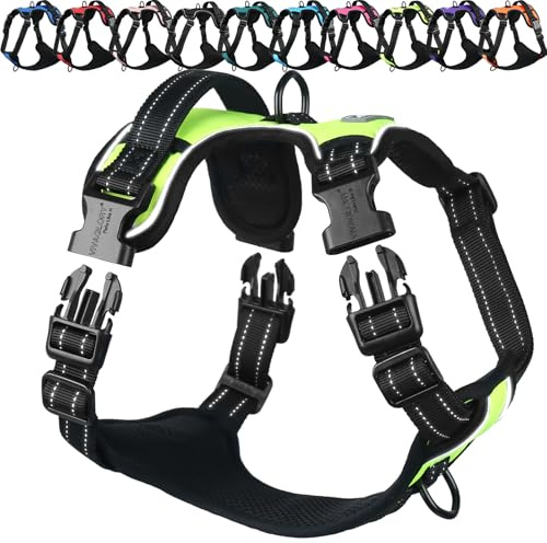 VIVAGLORY Anti Zieh Geschirr für Hunde Hundegeschirr, S, Neongelb, B | Antizuggeschirr mit Gepolstert Griff & Brustring, Anti Zieh Mitwachsend Ausbruchsicher & Reflektierend für Welpe Hund