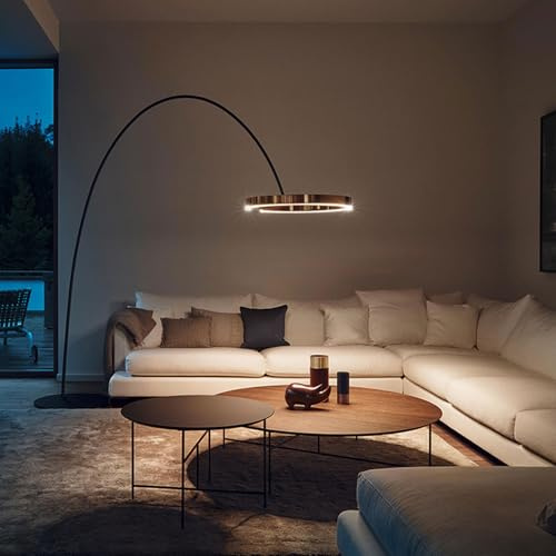 CFWSHJ Pavimenti Metallo a LED arcuato Nordico Minimalista Dimmabile Lampade in Piedi Dimmetti Lampada di Lettura Decorativa per Soggiorno Altezza del soggio