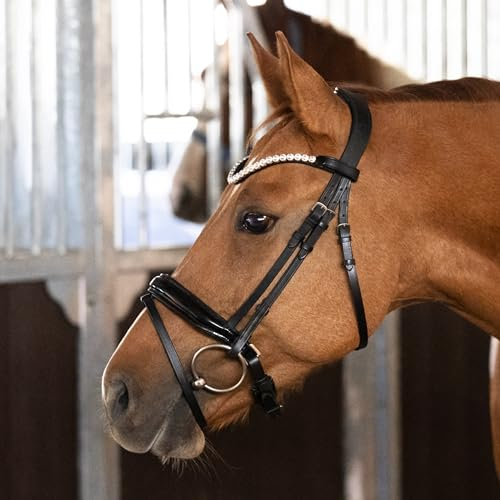 Heinick Trense Selection Lack Zaumhaken Schwarz Schnellwechselsystem ~ Warmblut ~