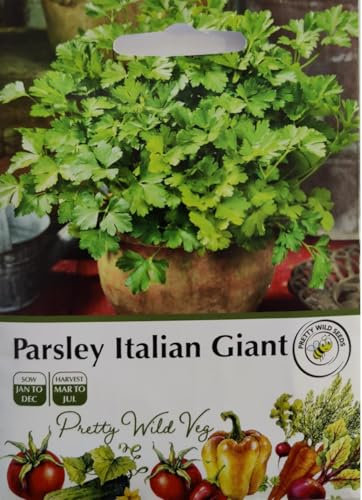 Parsley Italian Giant Seeds in Pictorial Packet- Packed in The UK