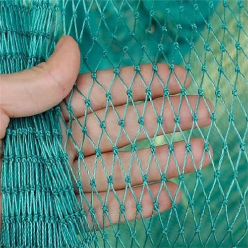 PanHuiWen Filets de Jardin Anti-Oiseaux Filet Anti-Oiseaux Filet Robuste avec Mailles,5x10m