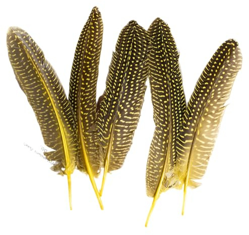 YKAFADE 10 Stück Fasanenfeder-Dekorationen, Natur Dekoration fasan Federn zum basteln Fasanenfedern zum Bastelfedern von Hüten,Kostüme DIY-Schmuck, Hochzeitsfeier Bastelprojekte 15-23cm Länge -Gelb