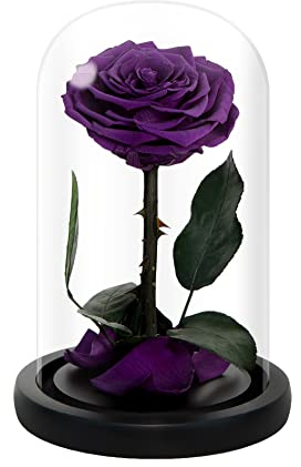 NATROSES Muttertagsblumen, violette Rosen für Mama, handgefertigte konservierte Rosen in Glaskuppel, langlebige violette Rosen, echte Glasrose für Valentinstag, Weihnachten, Geburtstag, Jahrestag,