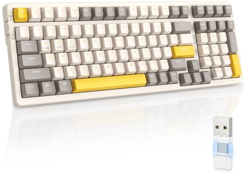 MAGIC-REFINER RK96 Teclado Inalambrico, Teclado Mecánico Gaming 90%, Apex Pro TKL Modo Dual 2.4Ghz/Bluetooth 5.0 Interruptor Rojo Hot Swap con Receptor 2 en 1 para PC/Mac/Tableta/Teclado QWERTY US
