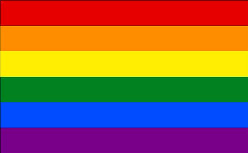 Premium Fahnen Flagge - 90 x 150 cm / 150 cm 90 cm - aus Polyester mit goldenen Ösen - Langlebig und Wetterfest (Regenbogen LGBT)