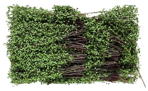 Enwye Arbustos en Miniatura, Hierba, vegetación, maquetas, Bricolaje, paisajismo, Caja de Arena, Arquitectura, decoración Verde primaveral