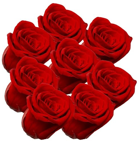 your castle Infinity Rosen | Ewige Rose | 8 Stück gefriergetrocknete Rosen in Rot | Konservierte echte Blumen, die nie verwelken | Deko | Tischdeko.