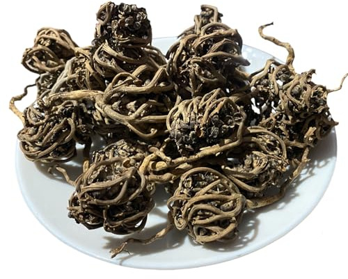 Rose di Gerico (Chajarat Mariam) di Piccole Dimensioni | Anastatica Hierochuntica | Fiore di Maryam | Pianta del Deserto Biologico | Fiore di Maria, Puro e senza additivi | (20 Pz)