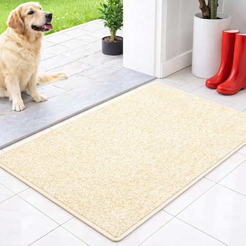 Floordirekt Schmutzfangmatte innen 60 x 90 cm - Beige - rutschfeste Maschinenwaschbare Fußmatte - Türmatte Sauberlaufmattestürmatte - Fussmatte für Hund - Haustür & Flur - NASA