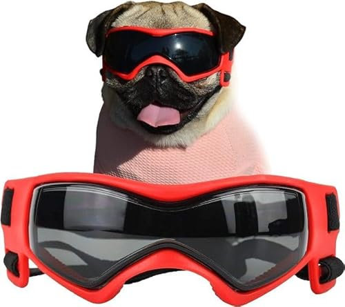 Hundebrille für kleine Rassen, Hunde-Sonnenbrille, UV-Schutz, Windschutz für kleine Hunde, Hundezubehör