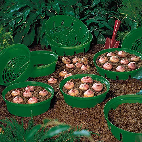Flower Bulb Basket for Easy Bulb Planting and Lifting Leaving No Stray Bulbs 20 x Bulb Baskets by Thompson and Morgan