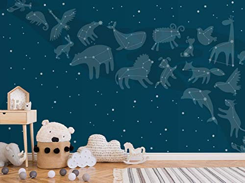 Oedim Fotomural Infantil Vinilo para Pared Constelaciones | Mural | Fotomural Infantil Vinilo Decorativo | 600 x 300 cm | Decoración comedores, Salones, Habitaciones