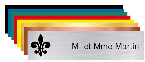 Plaque Gravée Pour Boîte Aux Lettres Personnalisable Avec Votre Nom et Prénom Ornement Lys - Dimensions 10 x 2,5 Cm - Aspect Argent Brossé Avec Écriture Noir