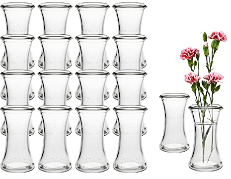24 Stück Runde Mini Vasen Typ200 Glasfläschchen kleine Dekoflaschen Flasche Väschen Vase Glasflaschen Blumenvase (24 Stück)