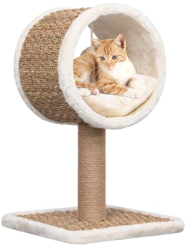 Bussandri Exclusive - Katzen-Kratzbaum mit Tunnel und Spielzeug 56 cm Seegras