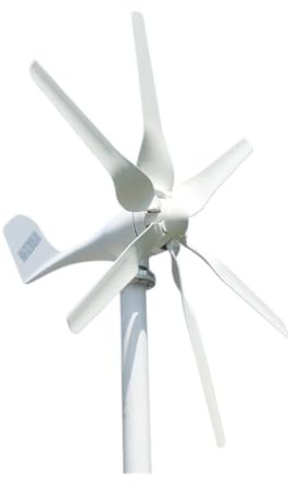 Turbina aerogeneradora Horizontal de 800W, 1kW, 12V, 24V, conjunto completo, molino de viento, controlador de carga MPPT, Generador pequeño Generación de energía de alta eficiencia y bajo ru(6 Blades,
