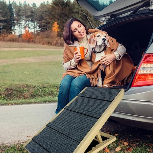 ACXIN Hundramp 100 cm hundtrappa justerbar ramp hund bil vikbar med halkfri användning hundtrappa för bil, säng, soffa, små hundar och stora hundar