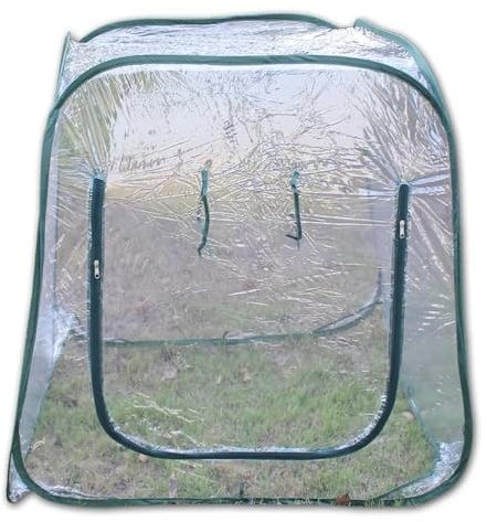 kompakte Gewächshäuser, Faltbares Gewächshaus-Wintergarten-Mini-Garten-Abdeckung aus PVC, 98 x cm