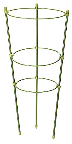 BADASS SHARKS Set of 5 Conical Garden Plant Support Rings (60cm)