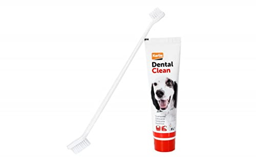 PETCAIRE dentifrice + brosse a dents pour chien