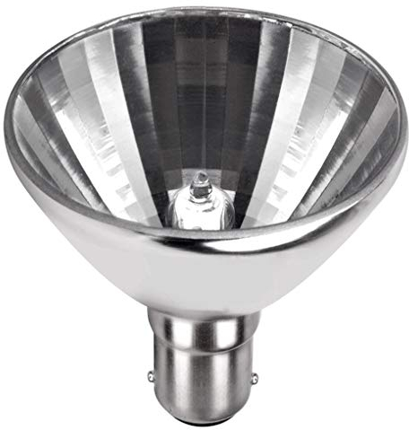 NCC-Licht Ampoule halogène basse tension Aluline 50 W B15d R56 Blanc chaud 3000 K 10° (1 pièce)