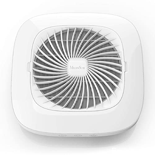 MelodySusie Aspirateur à Manucure Ongles Professionnel Ventilateur Collecteur de Poussière d'Ongles Faible Bruit Aspirateur de Table Puissant pour la Manucure au Salon ou à la Maison | 4000 tr/min, Filtre Réutilisable, 2 Modes D'aspiration, Commande Tactile, pour Salons de Manucure et Ateliers à Domicile