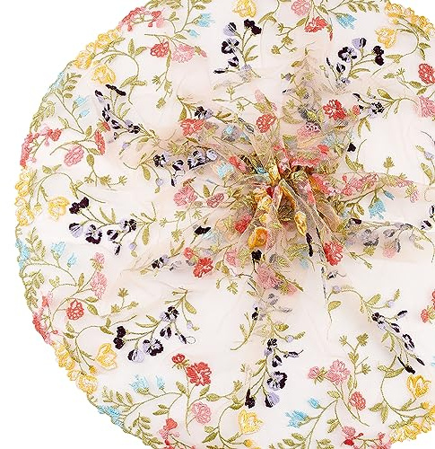 BENECREAT 1.8 Metri di Pizzo Ricamato in Tulle, 25 cm di Larghezza, Accessori per Indumenti in Pizzo A Rete Ricamati Floreali per Abiti in Velo, Tende Artigianali Fai-da-Te Decorazione Vintage