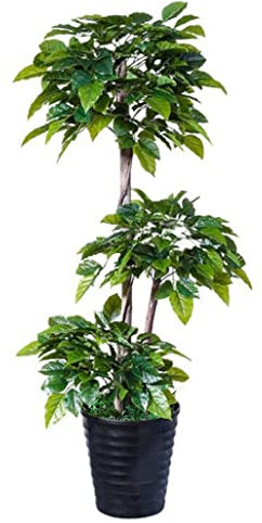 DRMEE Kunstpflanze Gefälschter Baum Im Nordischen Stil Im Topf, Wohnzimmer, Schlafzimmer, Dekoration, Grüne Pflanze, Eingetopft, Künstliche Pflanzen, Simulationsbaum Künstliche Pflanzen