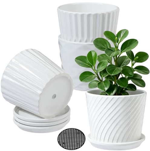sietpoek Plant Pots - 5.5 Inch Cylinder Ceramic Planters with Connected Saucer, Pots for Succuelnt and Little Snake Plants, Set of 4, White