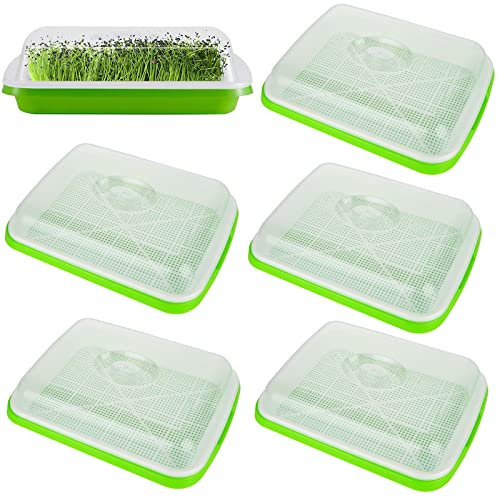 ACXFOND 6 Pack Seed Sprouter Trays Microgreens Growing Trays Nursery Tray Seed Germination Tray Healthy Wheatgrass Seeds Grower with Lid for Growing, Bean Sprouts, Cat Grass, Wheat Grass, Mung Beans