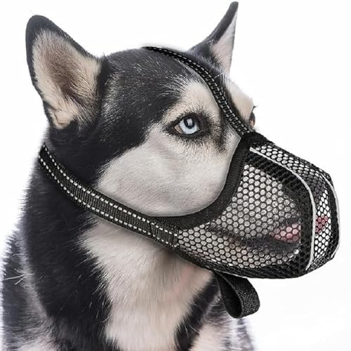 GIONAR Giftköderschutz Hund, Maulkorb Mittlere Hunde, Maulkorb Hund Prevent Fressen/Kauen/Beißen Hunde Maulkorb, Atmungsaktiv Reflektierende Einstellbare(Schwarz, M)