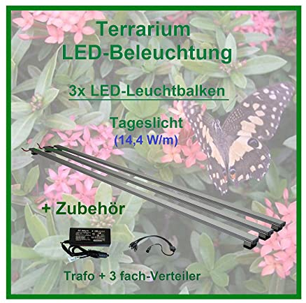AQUARIUM-PLÜDERHAUSEN Regenwald Terrarium,Set3:3x LED-Beleuchtung 120cm +Zubehör,Tropen Pflanzenlicht
