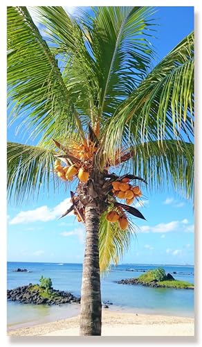 WunschPIXEL – Wandbild Palme auf Acrylglas, 40x70 cm, Kokospalme, Meer, Strand, Hochformat, Wanddeko Wohnzimmer oder Küche, inkl. Aufhängung