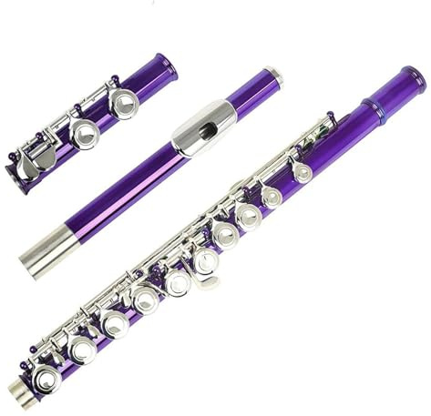Professionnel Flûte Traversière Flûte Violette À 16 Trous, Ton C, Trou Fermé, Clé Argentée, Flûte En Cupronickel Avec Accessoires De Flûte