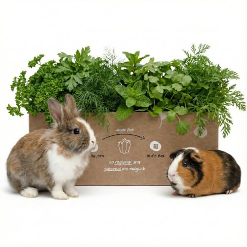 Frischfutter-Boxen für Heimtiere 5 kg, Gemischte Box für Kaninchen, Meerschweinchen und andere Pflanzenfresser - hochwertige Nahrung, frisches Kleintierfutter, Versand Immer Montag & Dienstag