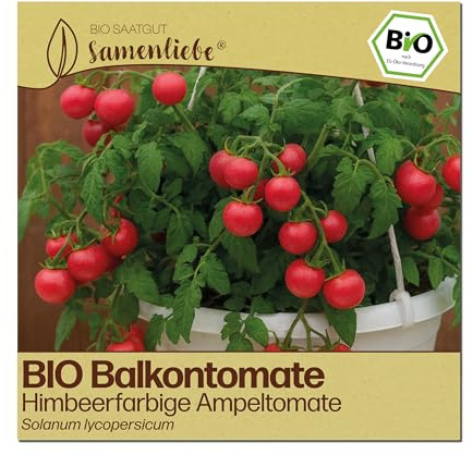 Samenliebe BIO Balkontomaten Samen | Himbeerfarbige Ampeltomate - süß & hängend - samenfestes BIO Saatgut