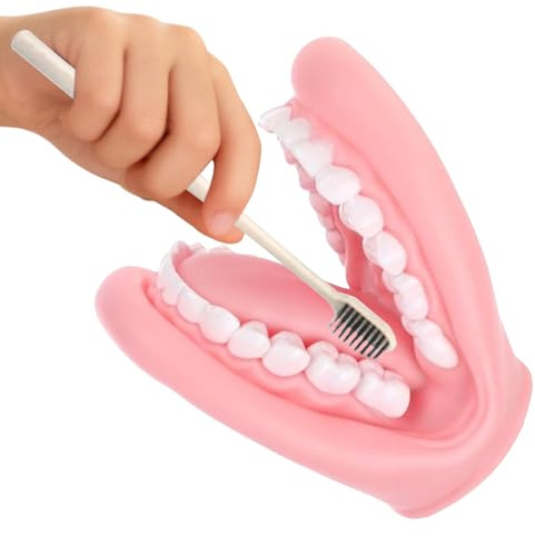Fingerpuppe – pädagogische Handpuppe mit beweglichen Fingern, 6,69 Zoll mit Zahnbürste, Zahnmodell | Handpuppen | für das Lernspiel, ideal für die Ma