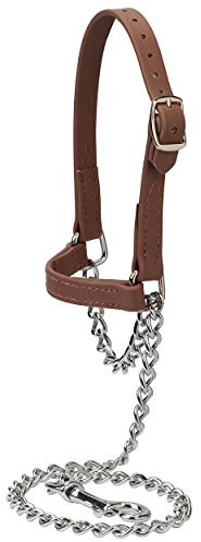 Weaver Leather Brahma Webb ® Goat Halter, Medium, Brown