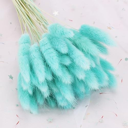 120 Stück getrockneter Hasenschwanz, Gras, blau, natürliche Hasenschwanz, Pampasgras, getrocknete Blumen, Kaninchenschwanz, Gras für Zuhause, Boho-Dekoration, Hochzeitsblumen-Arrangement