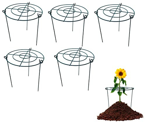 5 Pack 12x16 Peony Cages Plant Support Stakes Grow Through Grid Grow Through Hoops, Metal Flower Plant Brace Support Ring for Heavy Blossom